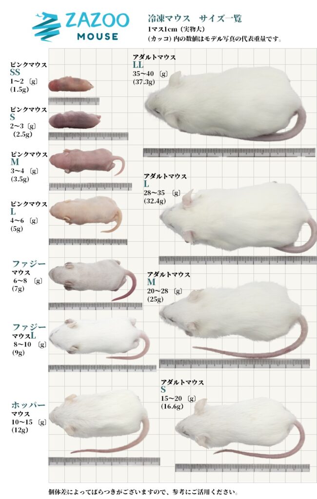 冷凍マウス各種 - 爬虫類/両生類用品